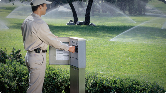 Автополив растений Автополив Киев