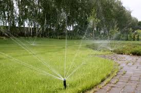 Автополив купить Автополив растений